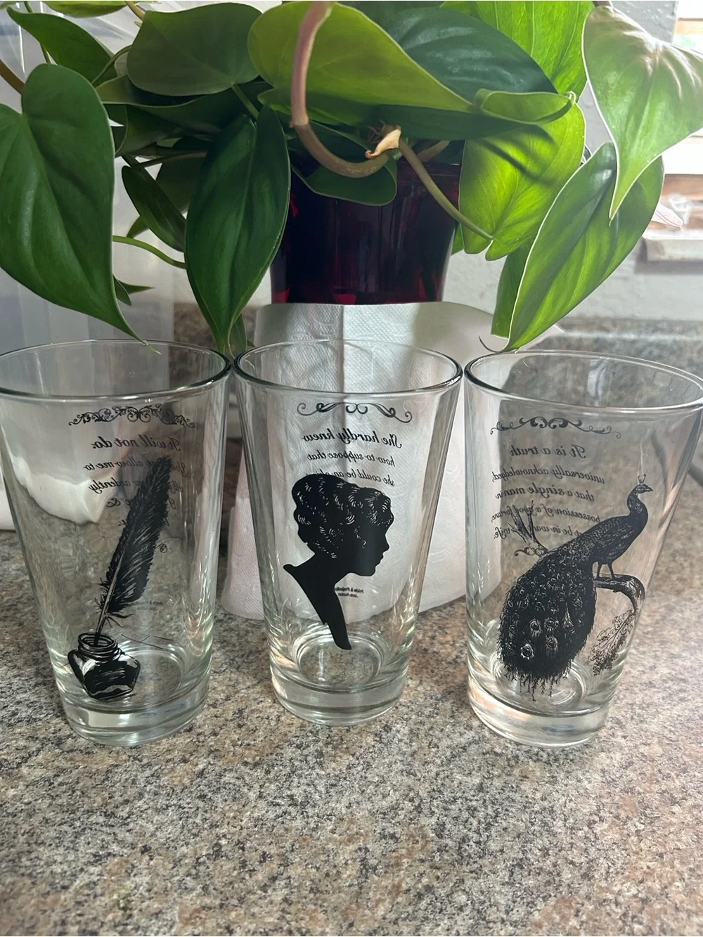 Pride & Prejudice Jane Austen Etched Drinking Glasses. Hand Curated & Repurposed